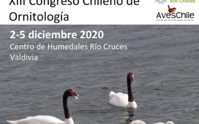 XIII Congreso Chileno de Ornitología