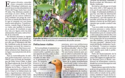 Ambiciosa estrategia busca proteger a todas las aves de Chile
