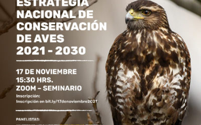 ¿Por qué conservar las aves? Estrategia nacional de conservación de aves 2021-2030