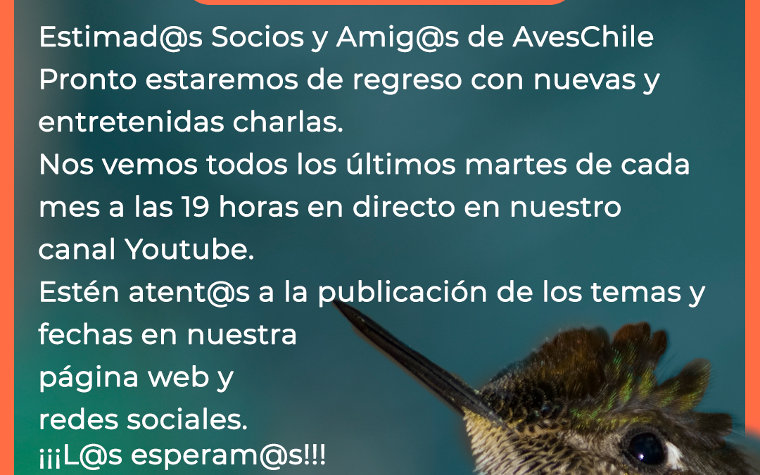 Comienza el Ciclo de charlas Aves Chile 2023