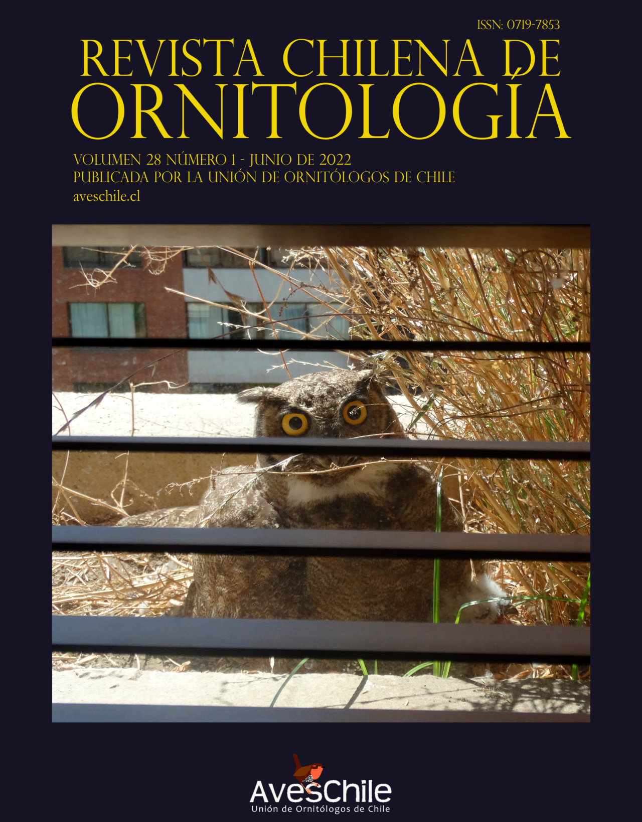 REVISTA CHILENA DE ORNITOLOGÍA VOLUMEN 28 NÚMERO 1 2022 Aves Chile